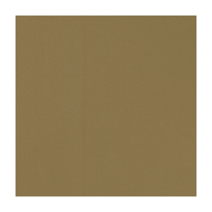 Novara Nutmeg by Clarke And Clarke Fabric CLARKE & CLARKE NOVARA COTTON - 65%;POLYESTER - 35% India - Horizontal: - and Vertical: - 114.25 - Fabric Carolina -