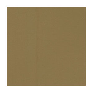 Novara Nutmeg by Clarke And Clarke Fabric
