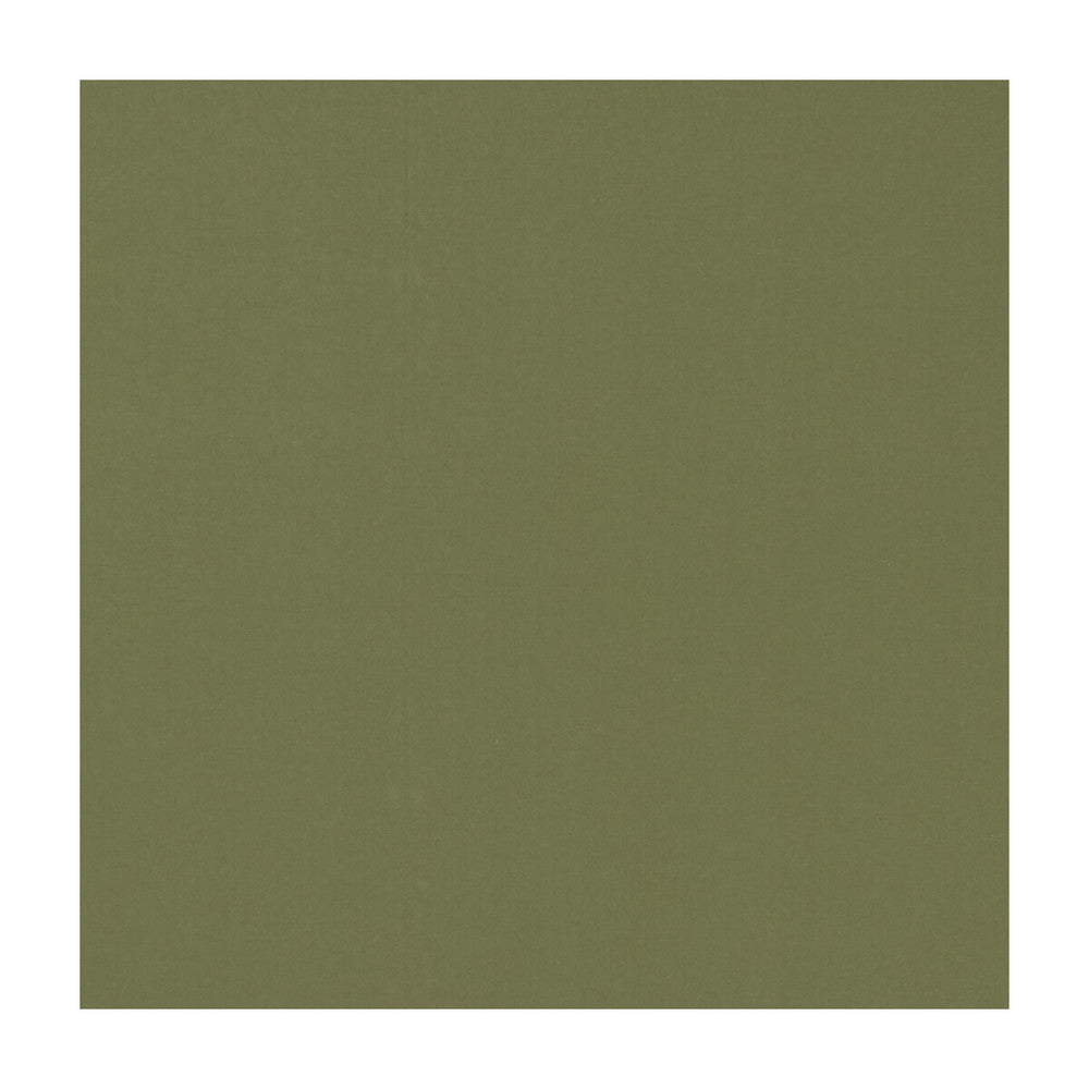 Novara Olive by Clarke And Clarke Fabric CLARKE & CLARKE NOVARA COTTON - 65%;POLYESTER - 35% India Horizontal: and Vertical: 114.25 - Fabric Carolina -