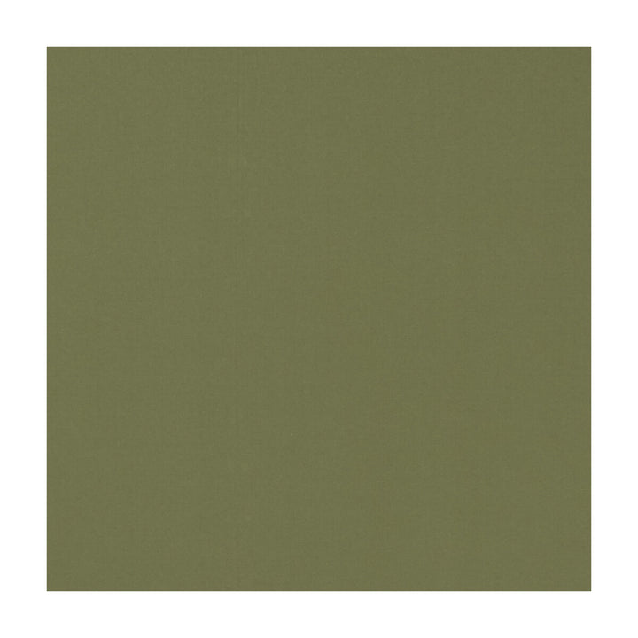 Novara Olive by Clarke And Clarke Fabric CLARKE & CLARKE NOVARA COTTON - 65%;POLYESTER - 35% India - Horizontal: - and Vertical: - 114.25 - Fabric Carolina -