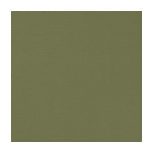 Novara Olive by Clarke And Clarke Fabric