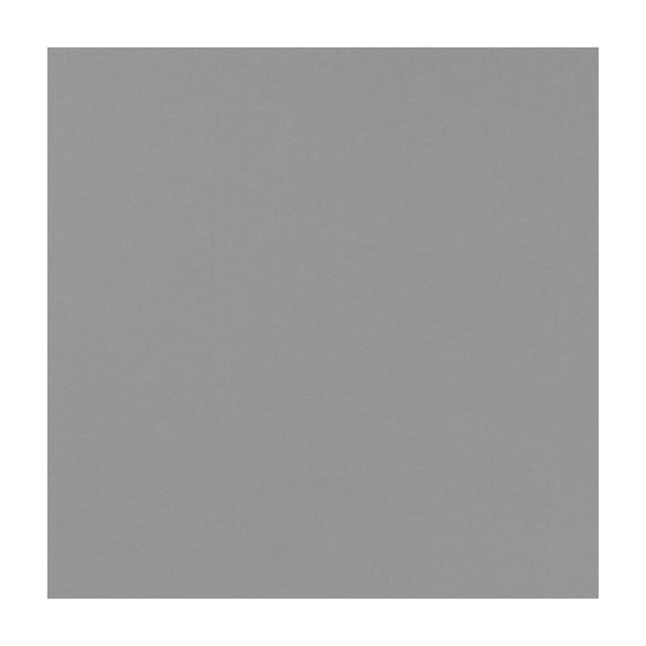 Novara Pewter by Clarke And Clarke Fabric CLARKE & CLARKE NOVARA COTTON - 65%;POLYESTER - 35% India Horizontal: and Vertical: 114.25 - Fabric Carolina -