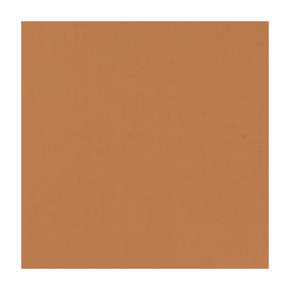Novara Pumpkin by Clarke And Clarke Fabric CLARKE & CLARKE NOVARA COTTON - 65%;POLYESTER - 35% India Horizontal: and Vertical: 114.25 - Fabric Carolina -