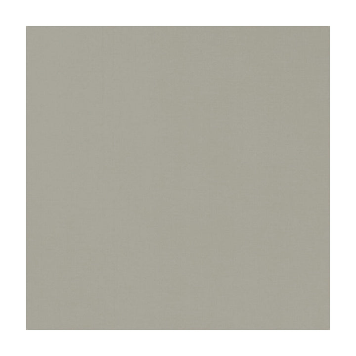 Novara Putty by Clarke And Clarke Fabric CLARKE & CLARKE NOVARA COTTON - 65%;POLYESTER - 35% India Horizontal: and Vertical: 114.25 - Fabric Carolina -