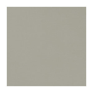 Novara Putty by Clarke And Clarke Fabric