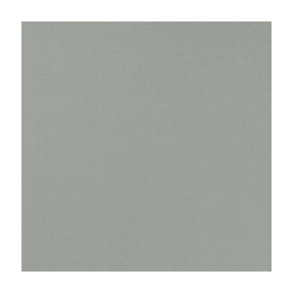Novara Shale by Clarke And Clarke Fabric CLARKE & CLARKE NOVARA COTTON - 65%;POLYESTER - 35% India Horizontal: and Vertical: 114.25 - Fabric Carolina -