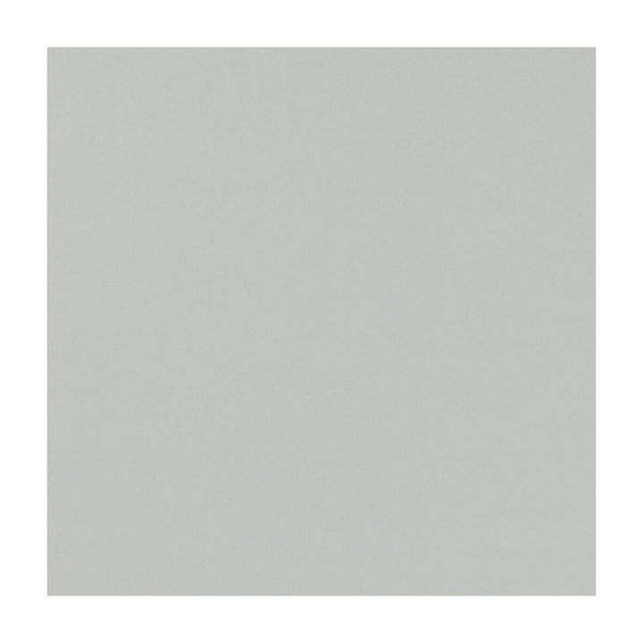 Novara Silver by Clarke And Clarke Fabric CLARKE & CLARKE NOVARA COTTON - 65%;POLYESTER - 35% India Horizontal: and Vertical: 114.25 - Fabric Carolina -