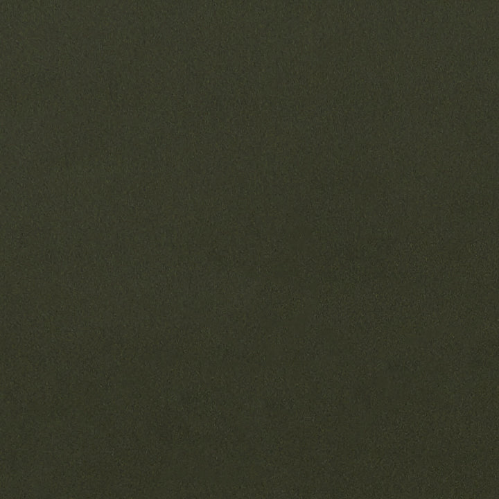 Lucca Chive by Clarke And Clarke Fabric CLARKE & CLARKE ALONSO POLYESTER - 100% China HEAVY Horizontal: - and Vertical: - 55.125 - Fabric Carolina -