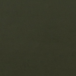 Lucca Chive by Clarke And Clarke Fabric