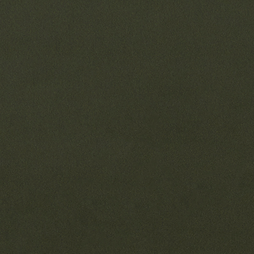 Lucca Chive by Clarke And Clarke Fabric Clarke And Clarke Fabric Lucca ChiveFabric CLARKE & CLARKE ALONSO POLYESTER - 100% China </p><p>Repeat: H: , V: 55.125 - Fabric Carolina -