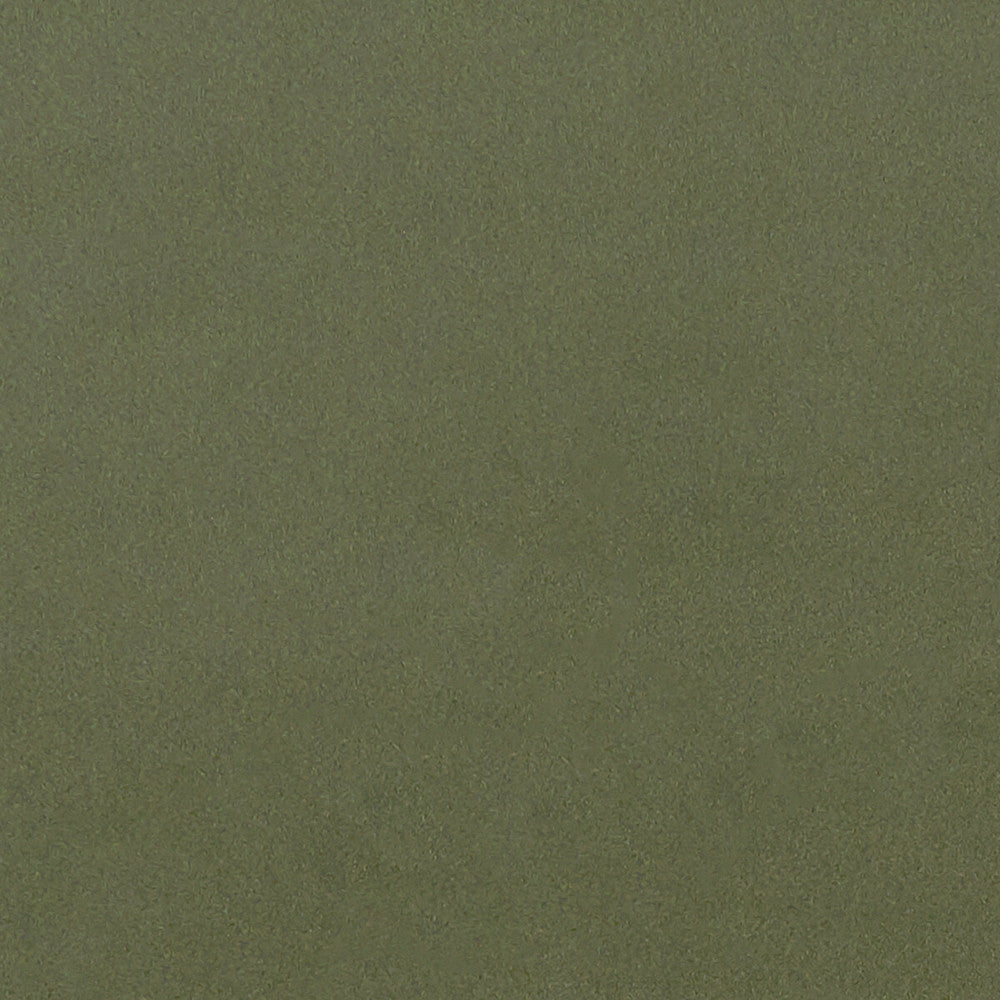 Lucca Herb by Clarke And Clarke Fabric CLARKE & CLARKE ALONSO POLYESTER - 100% China HEAVY Horizontal: - and Vertical: - 55.125 - Fabric Carolina -