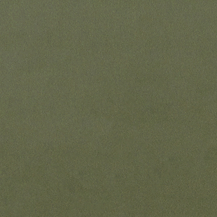 Lucca Herb by Clarke And Clarke Fabric CLARKE & CLARKE ALONSO POLYESTER - 100% China HEAVY Horizontal: - and Vertical: - 55.125 - Fabric Carolina -