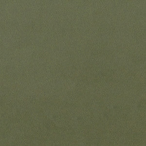 Lucca Herb by Clarke And Clarke Fabric