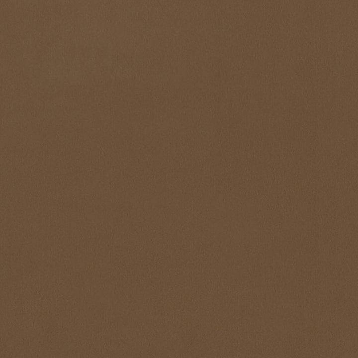 Lucca Sesame by Clarke And Clarke Fabric CLARKE & CLARKE ALONSO POLYESTER - 100% China HEAVY Horizontal: and Vertical: 55.125 - Fabric Carolina -