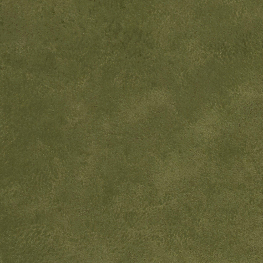 Nola Olive by Clarke And Clarke Fabric CLARKE & CLARKE ALONSO POLYESTER - 100% China HEAVY Horizontal: - and Vertical: - 55.125 - Fabric Carolina -
