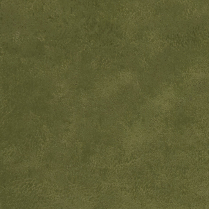 Nola Olive by Clarke And Clarke Fabric CLARKE & CLARKE ALONSO POLYESTER - 100% China HEAVY Horizontal: - and Vertical: - 55.125 - Fabric Carolina -