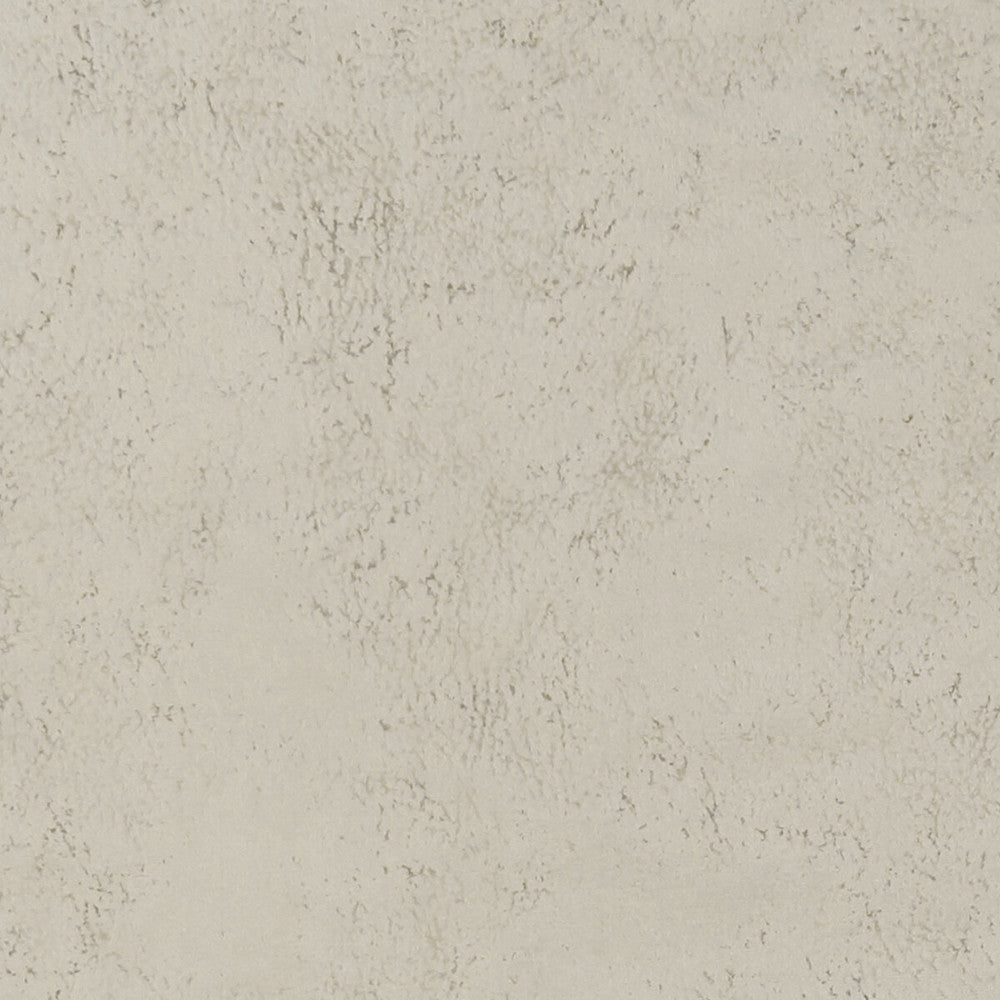 Nola Oyster by Clarke And Clarke Fabric CLARKE & CLARKE ALONSO POLYESTER - 100% China HEAVY Horizontal: - and Vertical: - 55.125 - Fabric Carolina -