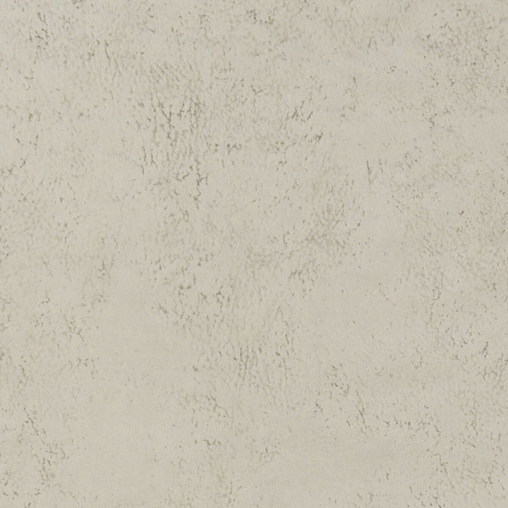 Nola Oyster by Clarke And Clarke Fabric CLARKE & CLARKE ALONSO POLYESTER - 100% China HEAVY Horizontal: - and Vertical: - 55.125 - Fabric Carolina -