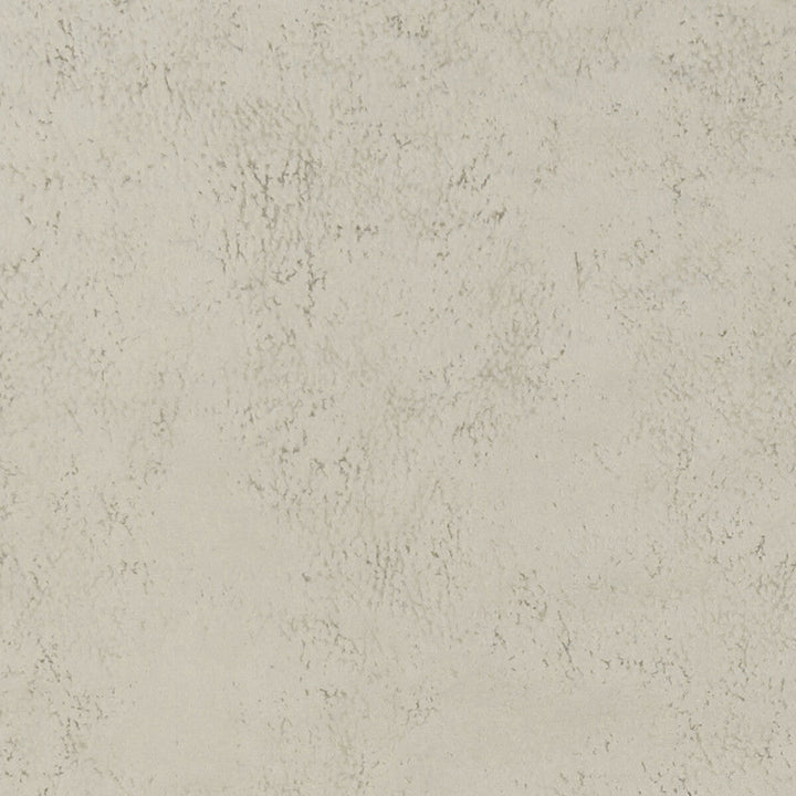 Nola Oyster by Clarke And Clarke Designer Fabric CLARKE & CLARKE ALONSO POLYESTER - 100% China HEAVY Horizontal: - and Vertical: - 55.125 - Swanky Fabrics -