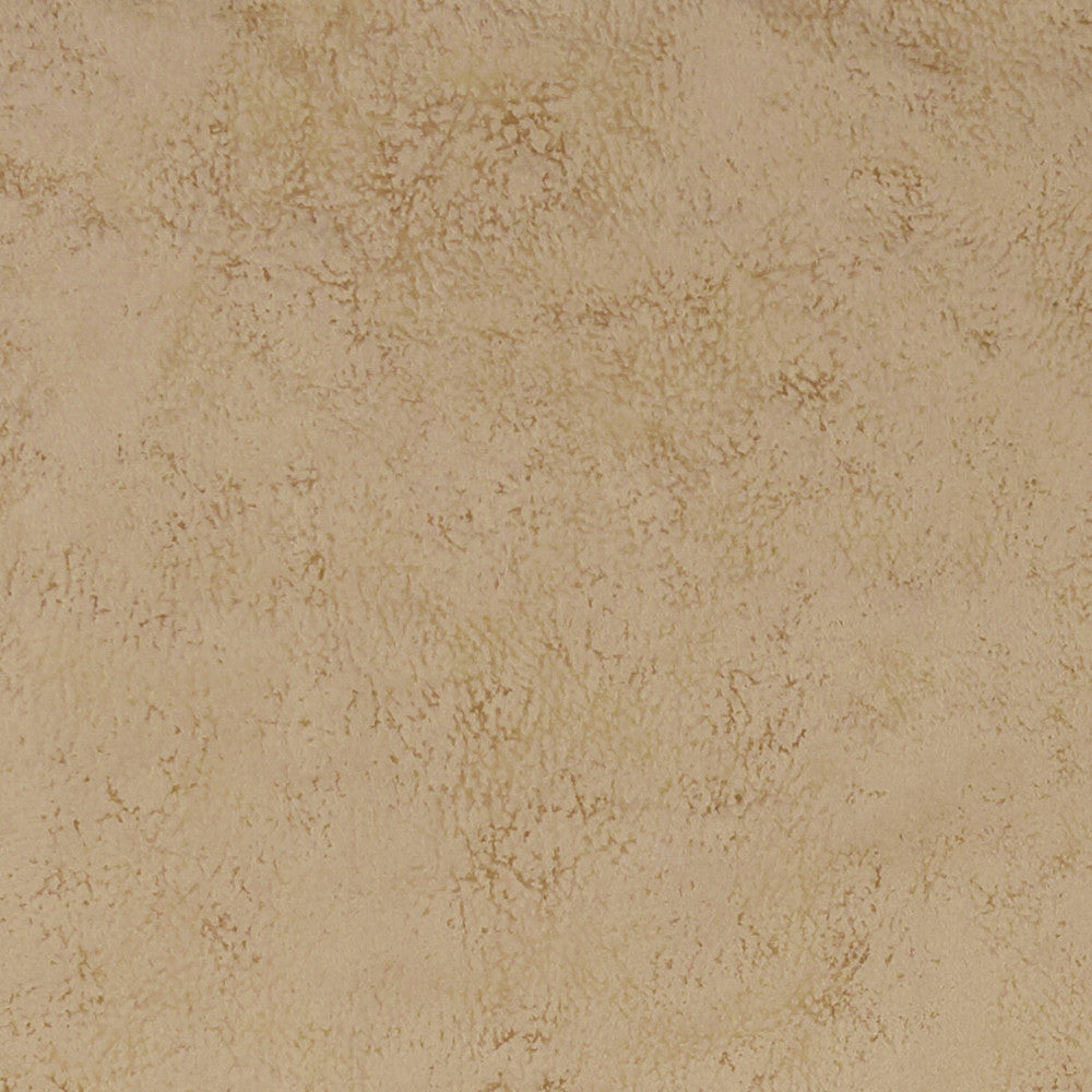 Nola Taupe by Clarke And Clarke Fabric Clarke And Clarke Fabric Nola TaupeFabric CLARKE & CLARKE ALONSO POLYESTER - 100% China </p><p>Repeat: H: , V: 55.125 - Fabric Carolina -
