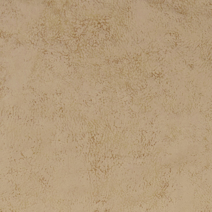 Nola Taupe by Clarke And Clarke Fabric CLARKE & CLARKE ALONSO POLYESTER - 100% China HEAVY Horizontal: - and Vertical: - 55.125 - Fabric Carolina -