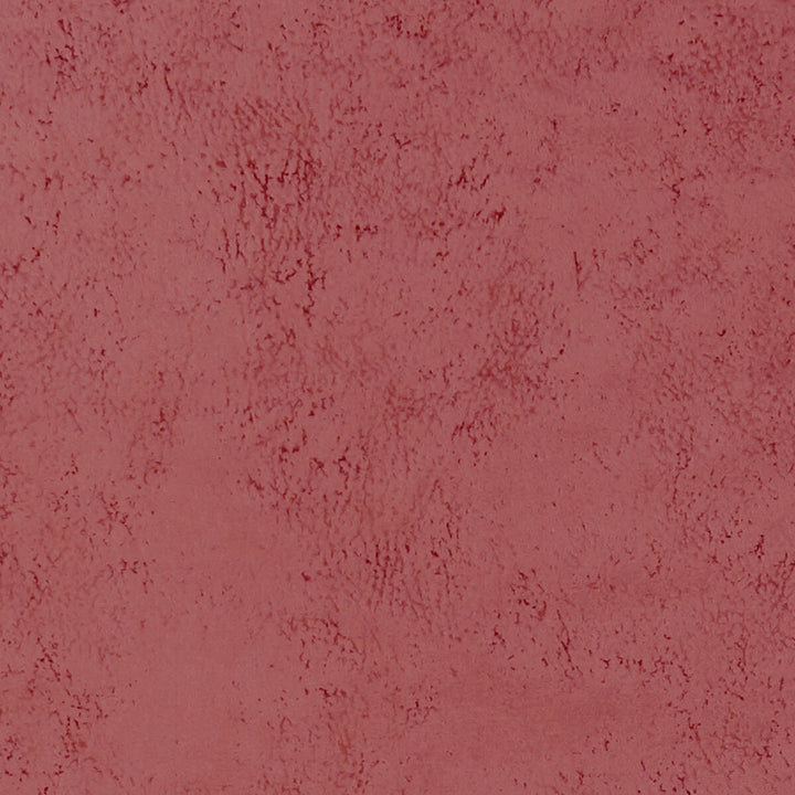 Nola Blush by Clarke And Clarke Fabric CLARKE & CLARKE ALONSO POLYESTER - 100% China HEAVY Horizontal: - and Vertical: - 55.125 - Fabric Carolina -