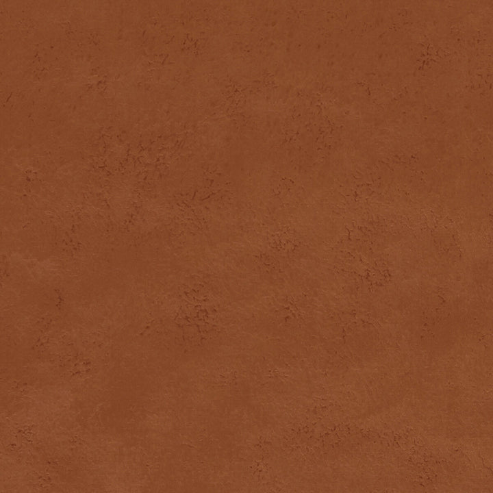 Nola Spice by Clarke And Clarke Fabric CLARKE & CLARKE ALONSO POLYESTER - 100% China HEAVY Horizontal: - and Vertical: - 55.125 - Fabric Carolina -