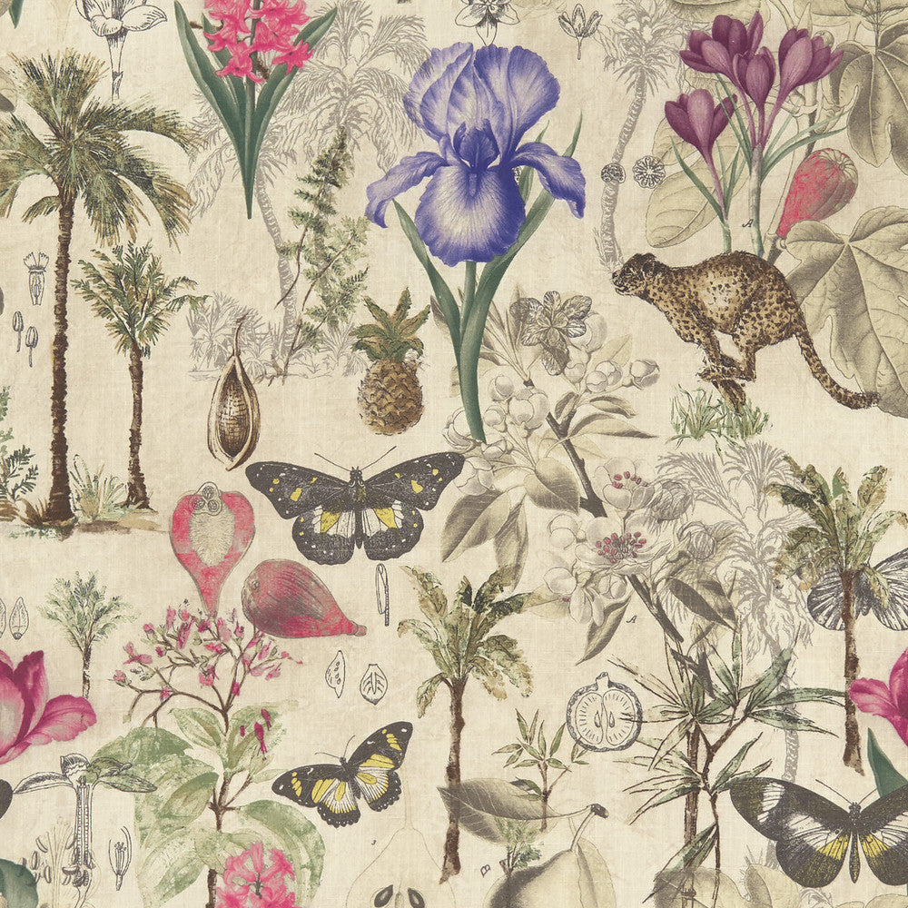 Botany Summer by Clarke And Clarke Fabric CLARKE & CLARKE EXOTICA COTTON - 100% India HEAVY Horizontal: 27.125 and Vertical: 27.125 55.125 - Fabric Carolina -