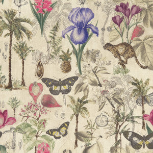 Botany Summer by Clarke And Clarke Fabric