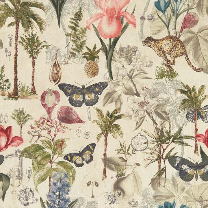 Botany Tropical by Clarke And Clarke Fabric CLARKE & CLARKE EXOTICA COTTON - 100% India HEAVY Horizontal: 27.125 and Vertical: 27.125 55.125 - Fabric Carolina -