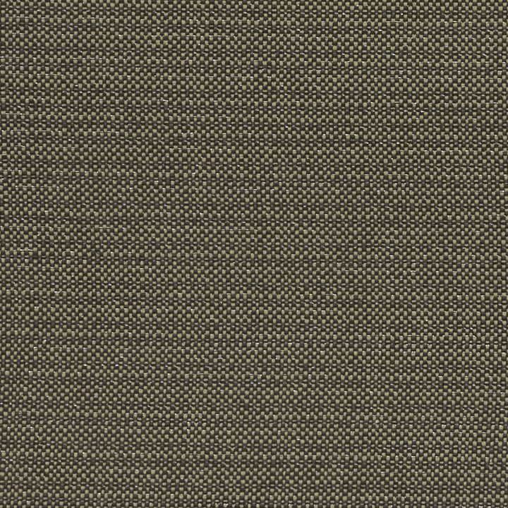 Kauai Charcoal by Clarke And Clarke Fabric CLARKE & CLARKE EXOTICA COTTON - 46%;POLYESTER - 42%;VISCOSE - 12% India HEAVY Horizontal: 0 and Vertical: 0 54 - Fabric Carolina -