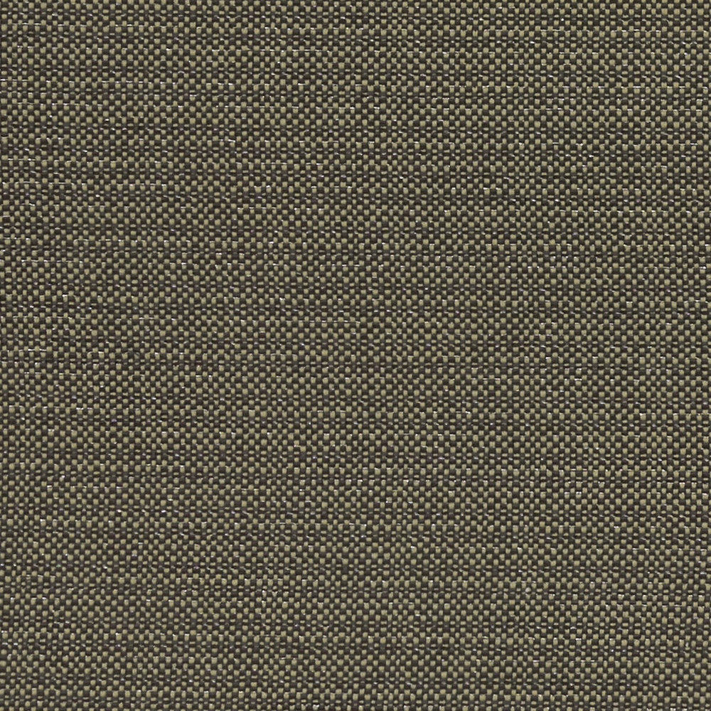 Kauai Charcoal by Clarke And Clarke Designer Fabric CLARKE & CLARKE EXOTICA COTTON - 46%;POLYESTER - 42%;VISCOSE - 12% India HEAVY Horizontal: 0 and Vertical: 0 54 - Swanky Fabrics -