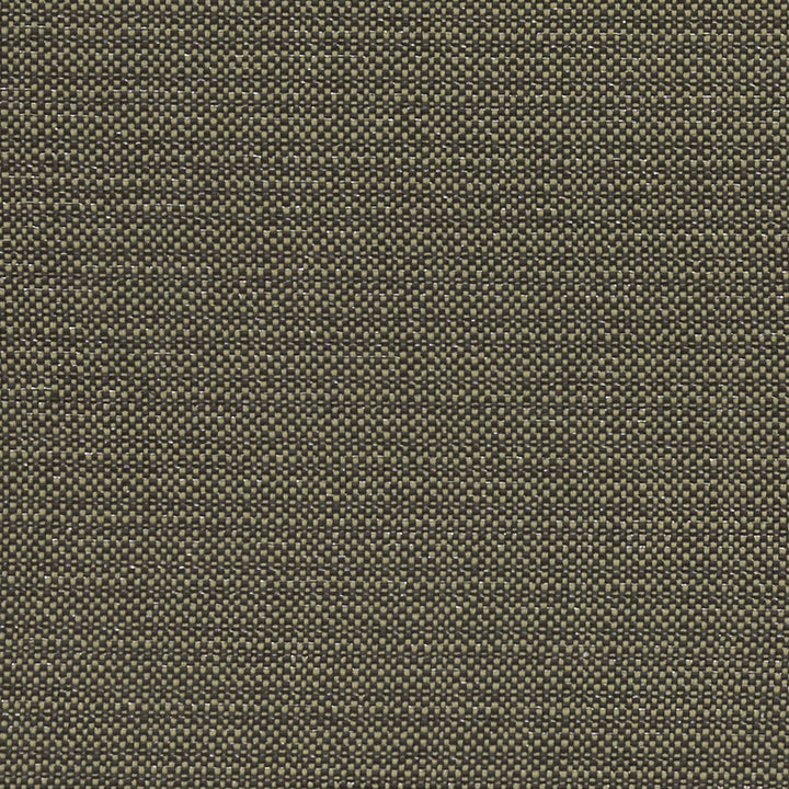 Kauai Charcoal by Clarke And Clarke Designer Fabric CLARKE & CLARKE EXOTICA COTTON - 46%;POLYESTER - 42%;VISCOSE - 12% India HEAVY Horizontal: 0 and Vertical: 0 54 - Swanky Fabrics -