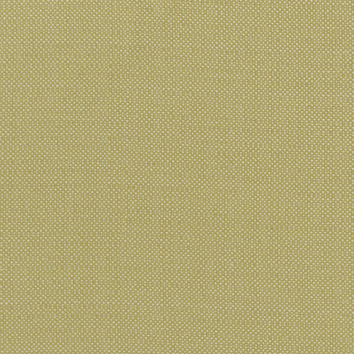 Kauai Citron by Clarke And Clarke Fabric CLARKE & CLARKE EXOTICA COTTON - 46%;POLYESTER - 42%;VISCOSE - 12% India HEAVY Horizontal: 0 and Vertical: 0 54 - Fabric Carolina -