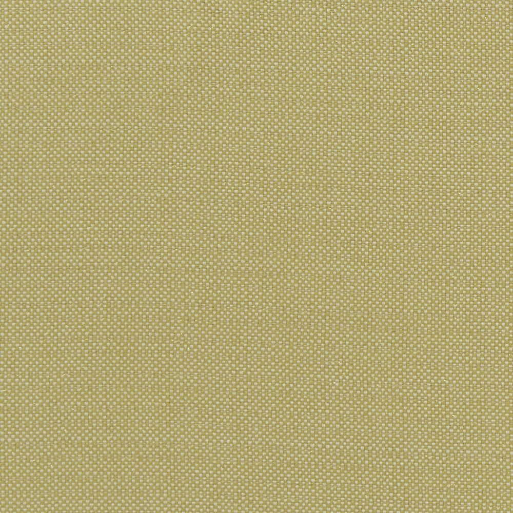Kauai Citron by Clarke And Clarke Designer Fabric CLARKE & CLARKE EXOTICA COTTON - 46%;POLYESTER - 42%;VISCOSE - 12% India HEAVY Horizontal: 0 and Vertical: 0 54 - Swanky Fabrics -
