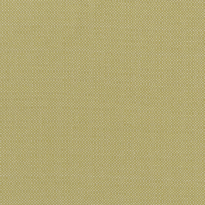 Kauai Citron by Clarke And Clarke Designer Fabric CLARKE & CLARKE EXOTICA COTTON - 46%;POLYESTER - 42%;VISCOSE - 12% India HEAVY Horizontal: 0 and Vertical: 0 54 - Swanky Fabrics -