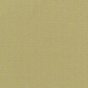 Kauai Citron by Clarke And Clarke Fabric