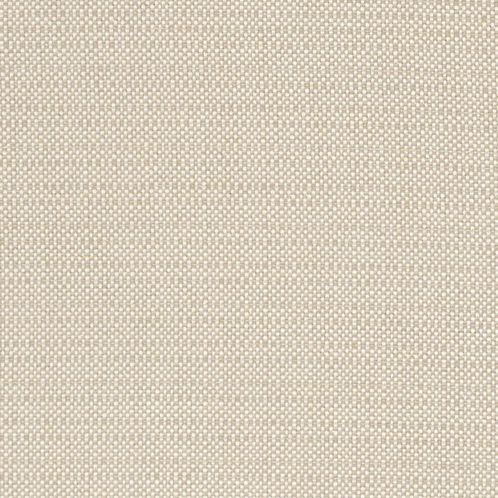 Kauai Linen by Clarke And Clarke Fabric CLARKE & CLARKE EXOTICA COTTON - 46%;POLYESTER - 42%;VISCOSE - 12% India HEAVY Horizontal: 0 and Vertical: 0 54 - Fabric Carolina -