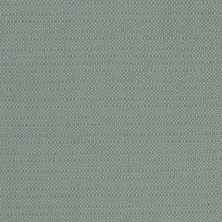 Kauai Mineral by Clarke And Clarke Fabric CLARKE & CLARKE EXOTICA COTTON - 46%;POLYESTER - 42%;VISCOSE - 12% India HEAVY Horizontal: 0 and Vertical: 0 54 - Fabric Carolina -
