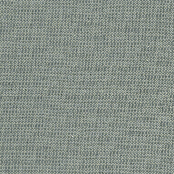 Kauai Mineral by Clarke And Clarke Designer Fabric CLARKE & CLARKE EXOTICA COTTON - 46%;POLYESTER - 42%;VISCOSE - 12% India HEAVY Horizontal: 0 and Vertical: 0 54 - Swanky Fabrics -