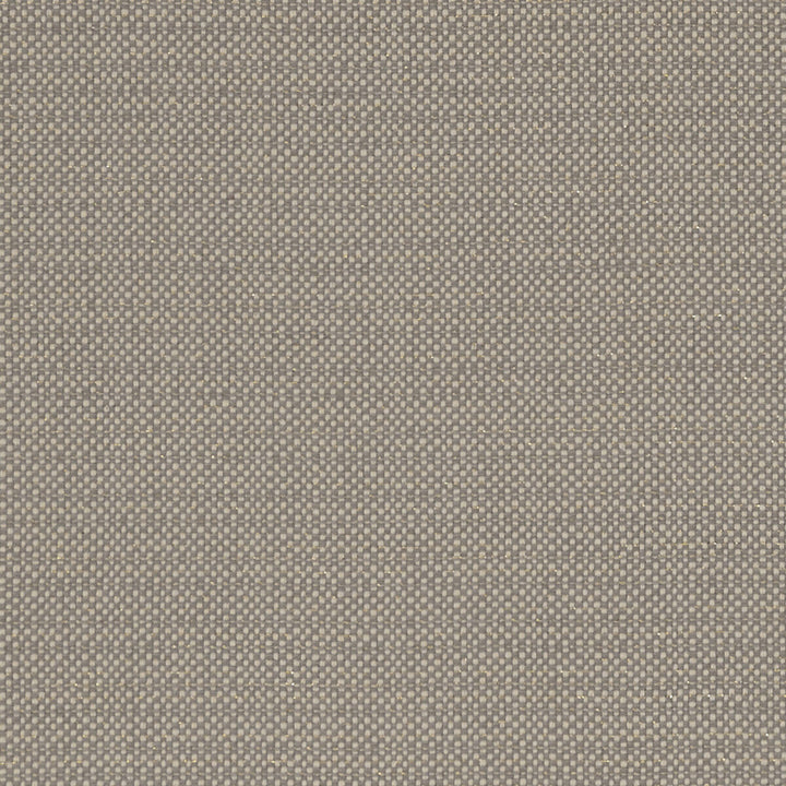 Kauai Mocha by Clarke And Clarke Designer Fabric CLARKE & CLARKE EXOTICA COTTON - 46%;POLYESTER - 42%;VISCOSE - 12% India HEAVY Horizontal: 0 and Vertical: 0 54 - Swanky Fabrics -