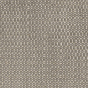 Kauai Mocha by Clarke And Clarke Fabric
