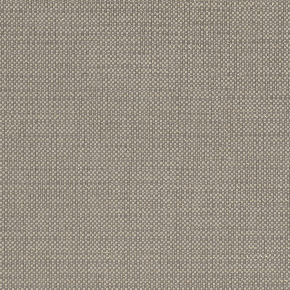 Kauai Mocha by Clarke And Clarke Fabric CLARKE & CLARKE EXOTICA COTTON - 46%;POLYESTER - 42%;VISCOSE - 12% India HEAVY Horizontal: 0 and Vertical: 0 54 - Fabric Carolina -