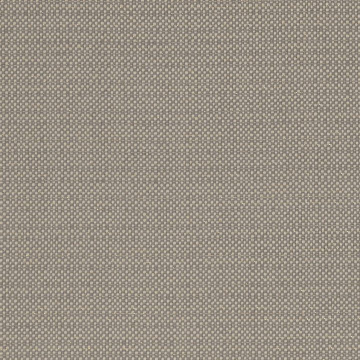 Kauai Mocha by Clarke And Clarke Fabric CLARKE & CLARKE EXOTICA COTTON - 46%;POLYESTER - 42%;VISCOSE - 12% India HEAVY Horizontal: 0 and Vertical: 0 54 - Fabric Carolina -
