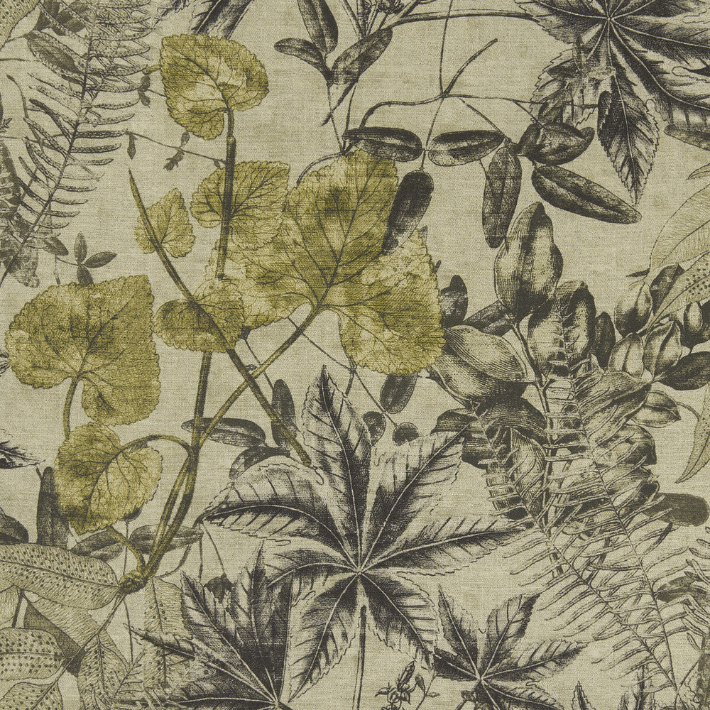 Madagascar Charcoal/Charteuse by Clarke And Clarke Fabric CLARKE & CLARKE EXOTICA VISCOSE - 75%;LINEN - 25% India HEAVY Horizontal: 53.125 and Vertical: 26.375 54 - Fabric Carolina -