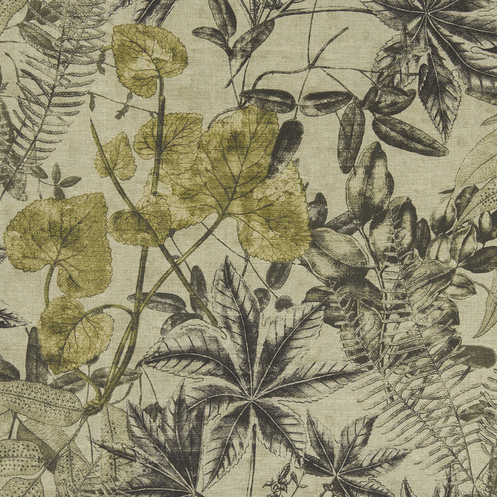 Madagascar Charcoal/Charteuse by Clarke And Clarke Fabric Clarke And Clarke Fabric Madagascar Charcoal/CharteuseFabric CLARKE & CLARKE EXOTICA VISCOSE - 75%;LINEN - 25% India </p><p>Repeat: H: 53.125, V: 26.375 54 - Fabric Carolina -