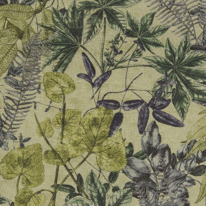Madagascar Forest by Clarke And Clarke Fabric