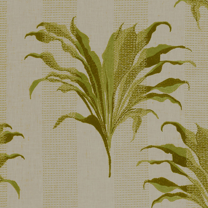 Palma Citron by Clarke And Clarke Fabric CLARKE & CLARKE EXOTICA POLYESTER - 52%;COTTON - 48% India Horizontal: 17 and Vertical: 12.875 54 - Fabric Carolina -
