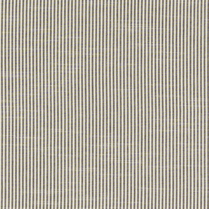Bempton Charcoal by Clarke And Clarke Fabric CLARKE & CLARKE BEMPTON COTTON - 100% India Horizontal: 0.1875 and Vertical: 0 55.125 - Fabric Carolina -