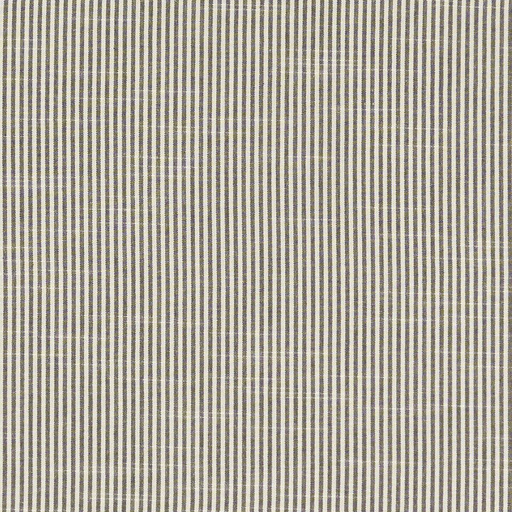 Bempton Charcoal by Clarke And Clarke Designer Fabric CLARKE & CLARKE BEMPTON COTTON - 100% India Horizontal: 0.1875 and Vertical: 0 55.125 - Swanky Fabrics -
